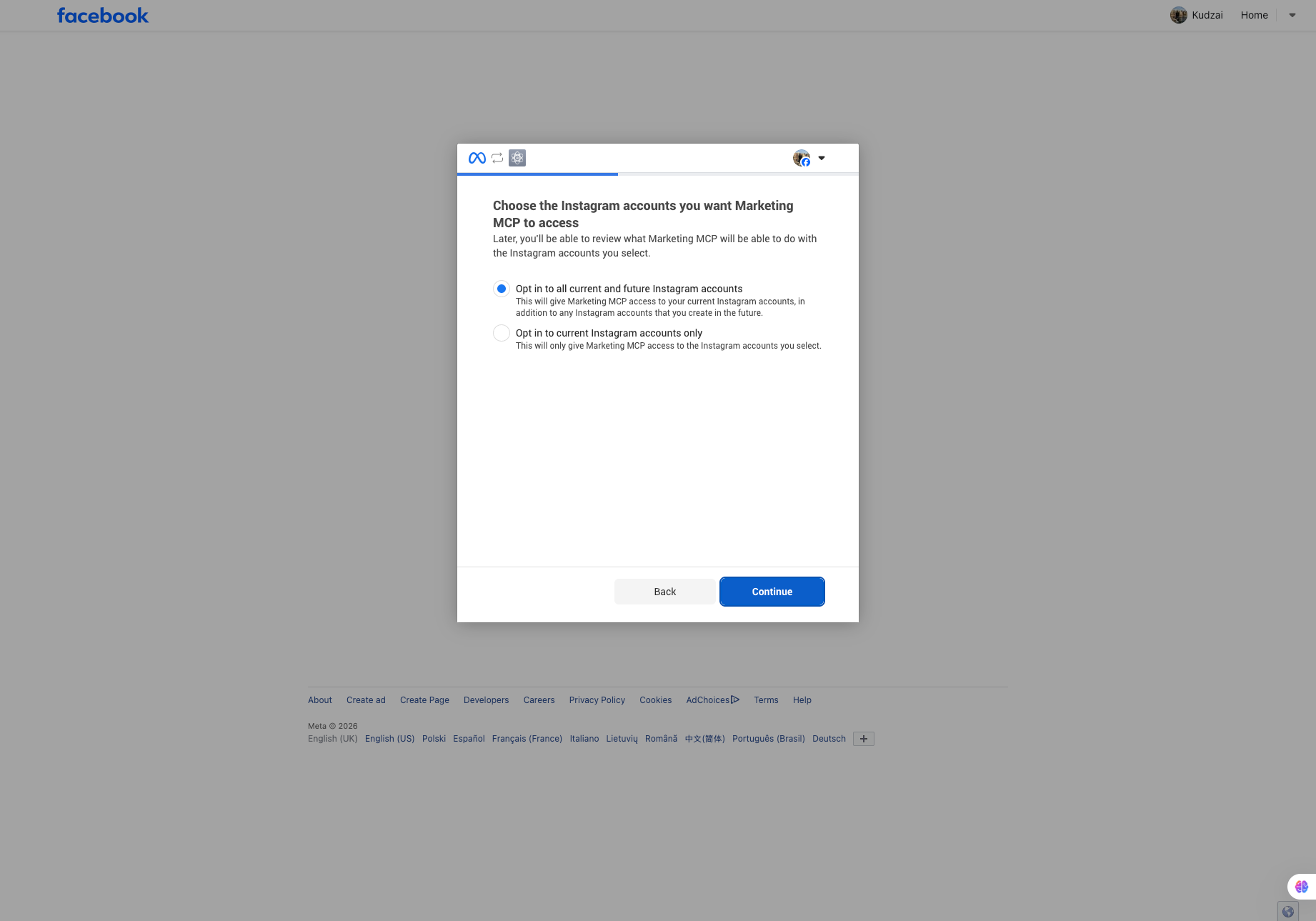 Facebook dialog to choose Instagram accounts, with opt in to all current and future accounts selected